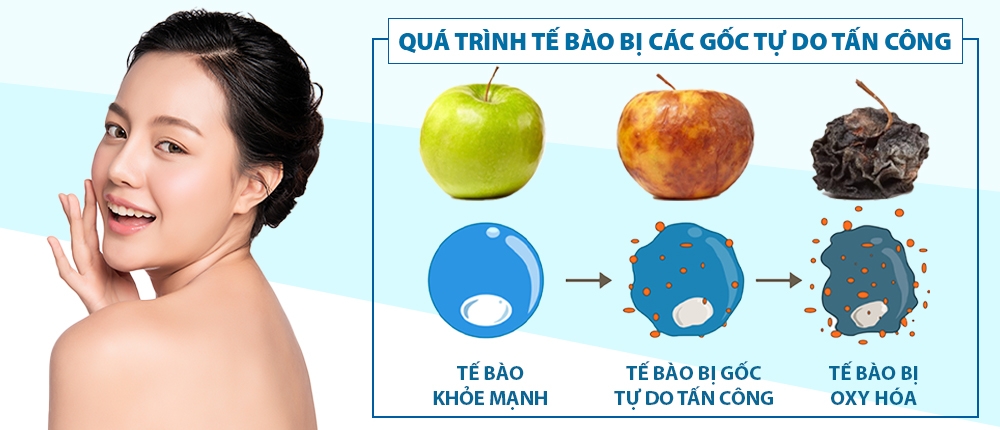 Nước Hydrogen và nước Kiềm 4