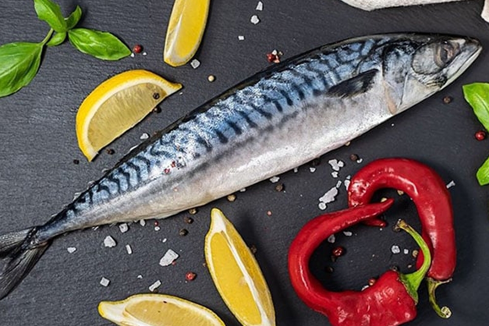 Cá thu giàu dưỡng chất, hàm lượng omega-3 rất cao.