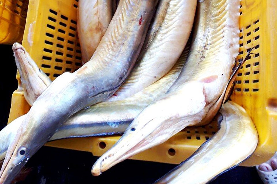 Kinh nghiệm lựa chọn nguyên liệu tươi ngon.