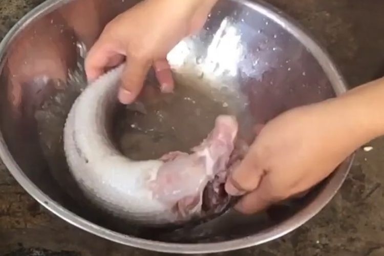 cá quả (hình 2)