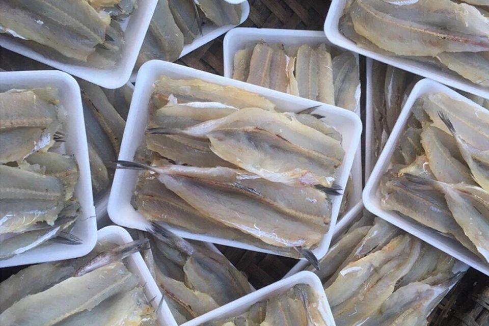 Khô cá mối 1 nắng 2