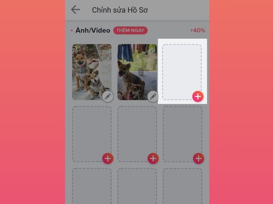 Cách chỉnh sửa hồ sơ cá nhân trên Tinder 3
