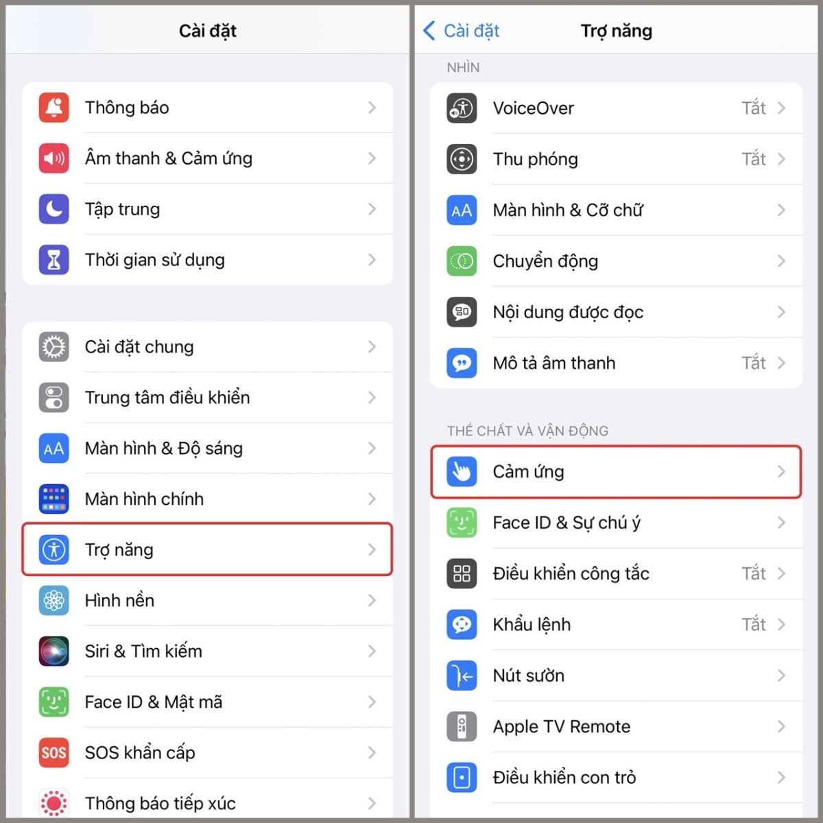 Cách chụp màn hình iPhone 11 và iPhone 11 Pro Max cực nhanh chóng và dễ dàng 2