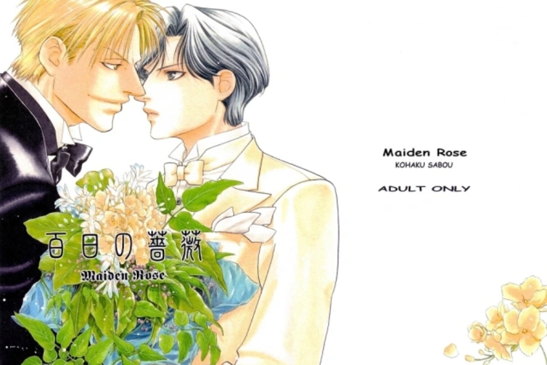 Bách Nhật Sắc Vi - Maiden Rose