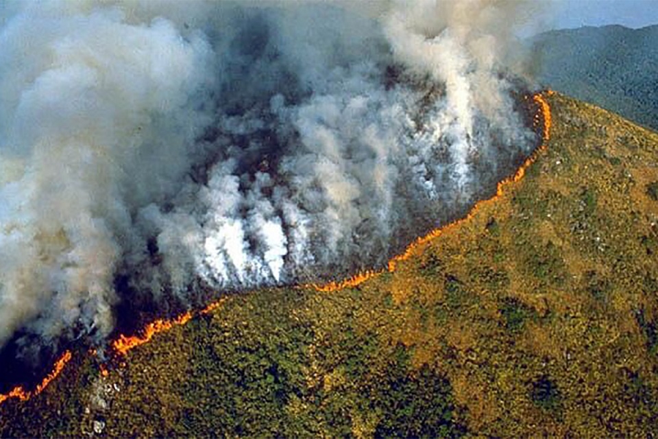 Cháy rừng ở Amazon là một trong những hệ lụy tiêu cực của El Nino
