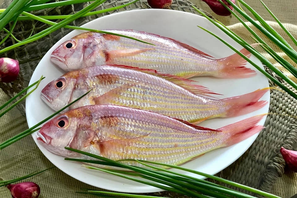 Cá đổng 2