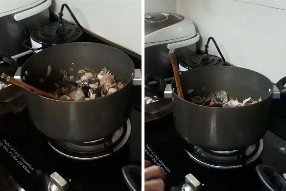 Cá nheo 8