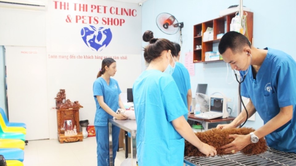 Phòng khám thú y Thi Thi Pet Clinic