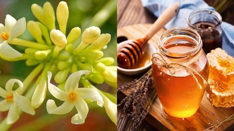cách ngâm hoa đu đủ đực với mật ong - ảnh 1