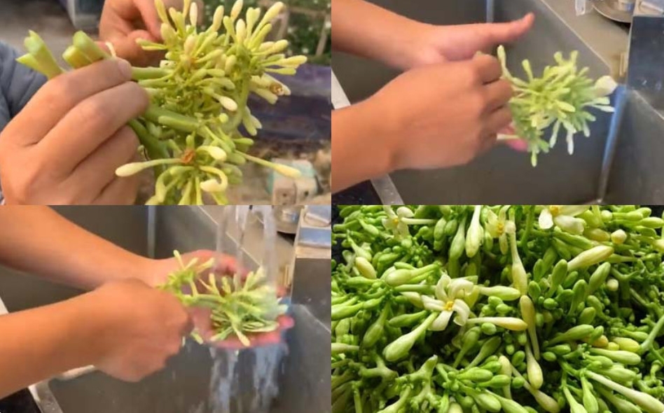 cách ngâm hoa đu đủ đực với mật ong - ảnh 2