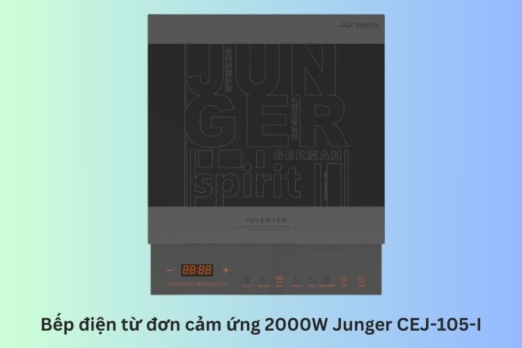 bếp từ thái lan 1