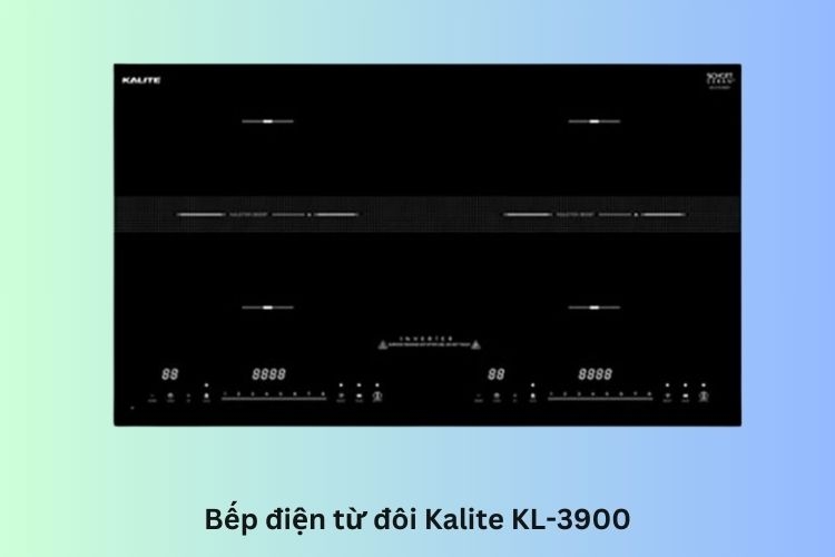 bếp từ thái lan 2