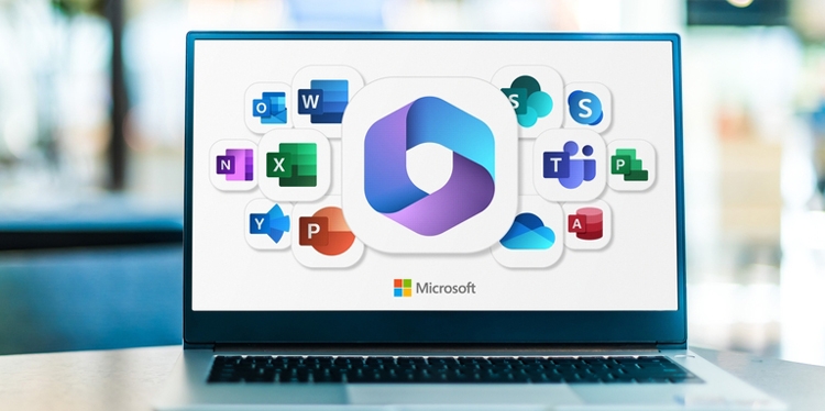 License Office 365 là gì?