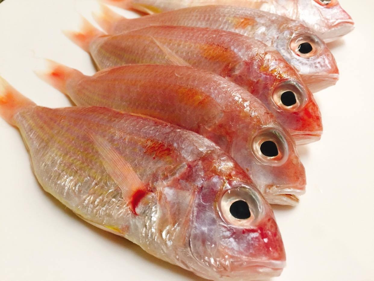 Cá phèn giàu omega-3