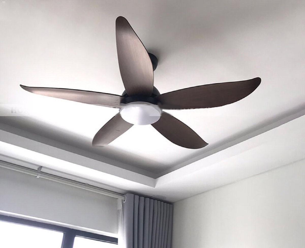Quạt trần DC có tốt không - hình 1