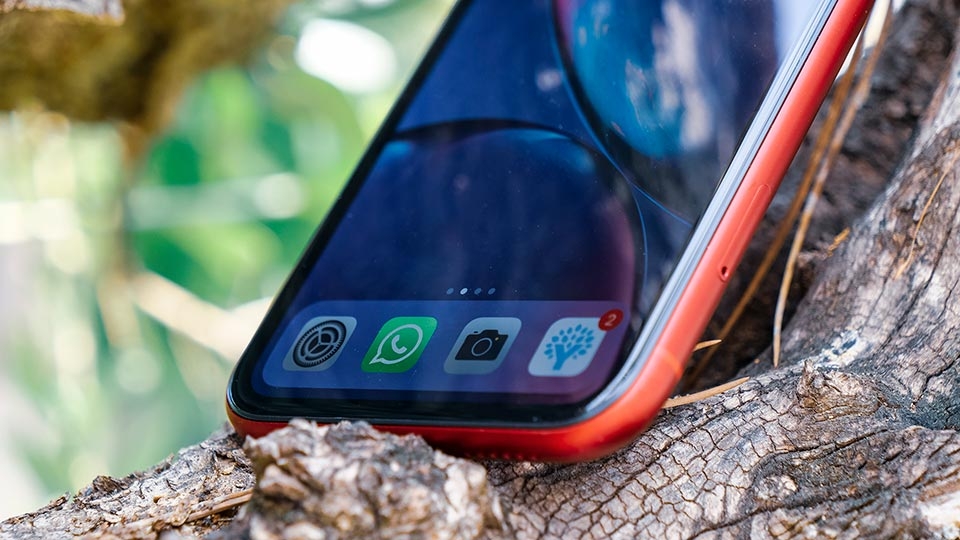 iPhone XR - Ảnh 02