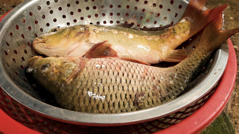 cá chép giòn 1