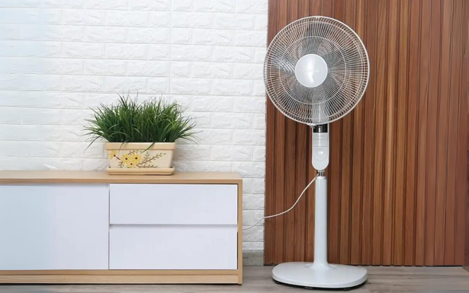Có 3 loại quạt cây phổ biến trên thị trường