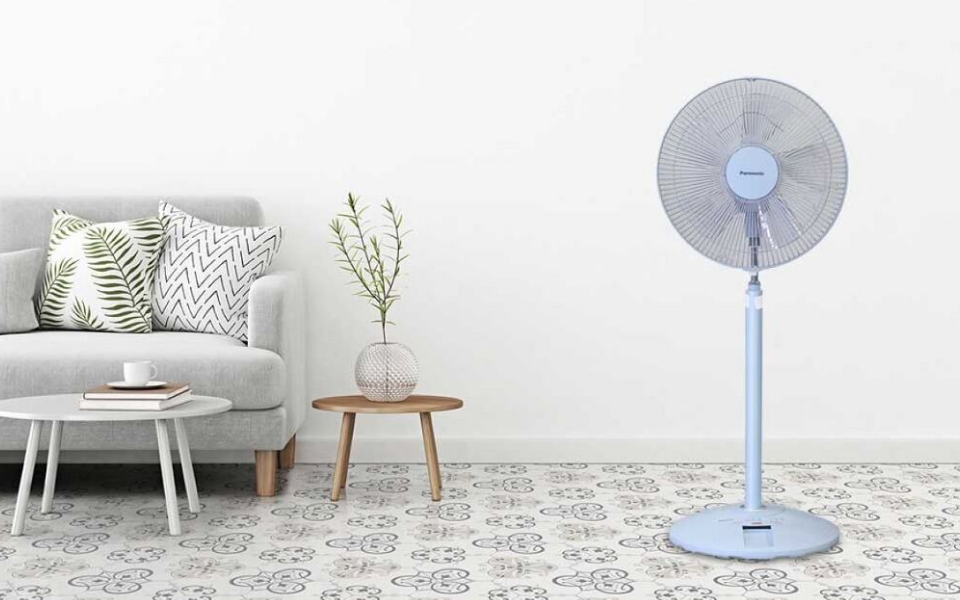 Quạt cây có đa dạng màu sắc