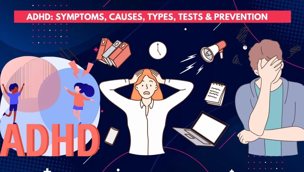 ADHD là gì - hình 6