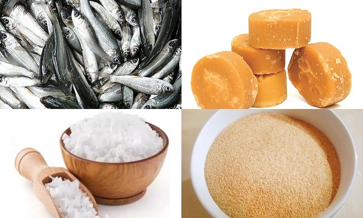 Mắm cá linh (Hình 1)