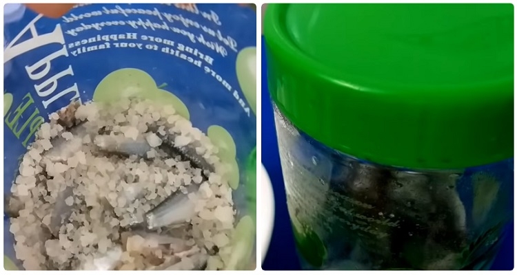 Mắm cá linh (Hình 3)