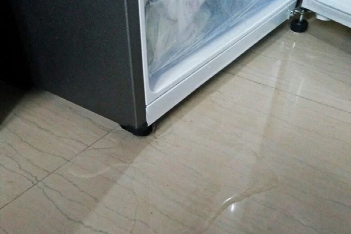 Tủ lạnh chảy nước phía sau - hình 5