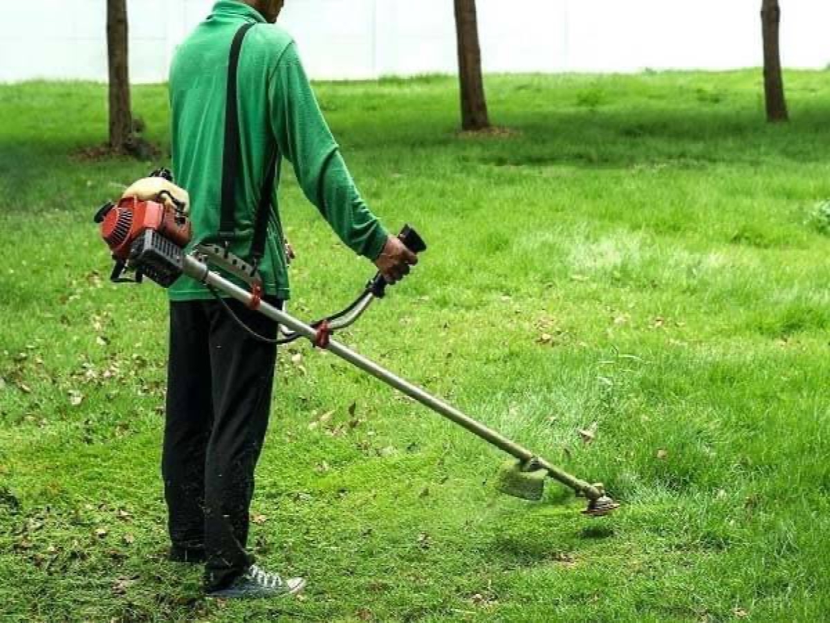 cách lắp lưỡi máy cắt cỏ - hình 1