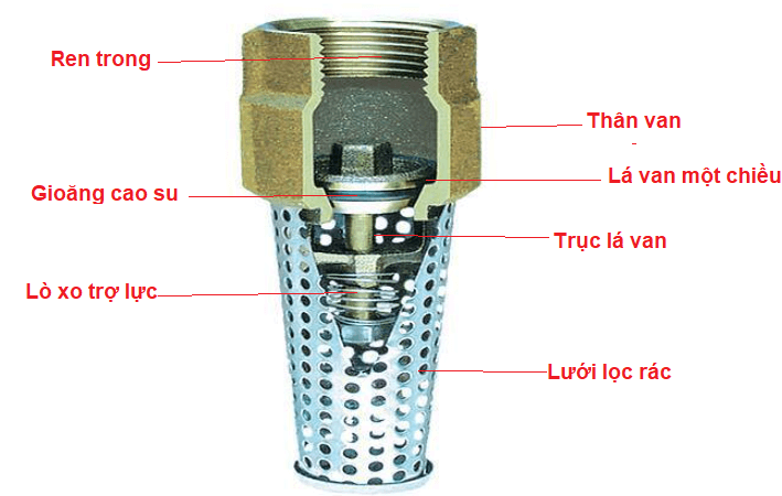 Lúp bê máy bơm nước: Tìm hiểu cấu tạo, phân loại, giá thành và cách lắp đặt cụ thể 2