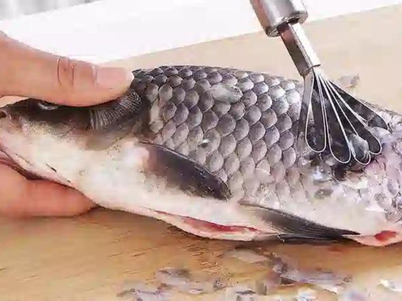 cá chép sốt cà chua 04