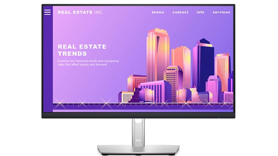 Dell LCD P2422H 23.8 inch Full HD