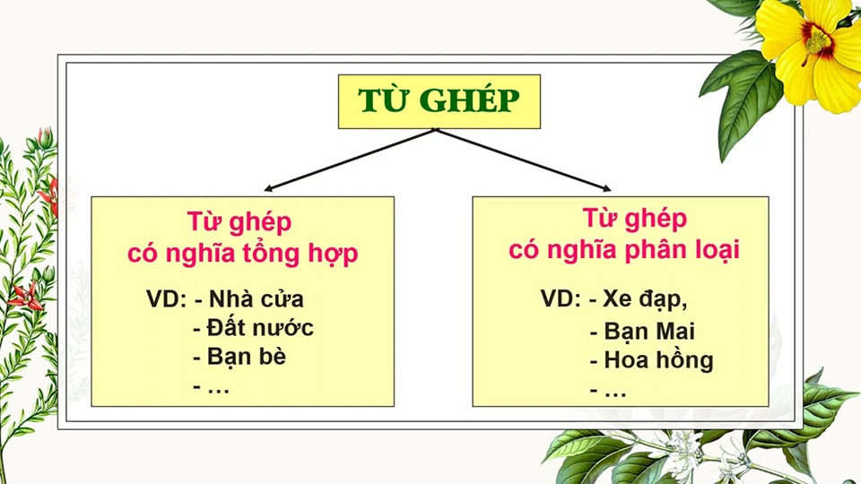 Phân Loại Từ Ghép: Hướng Dẫn Toàn Diện và Chi Tiết Cho Người Mới Bắt Đầu