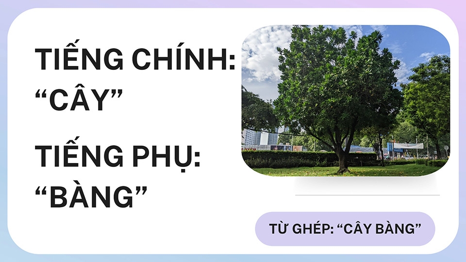 Từ ghép chính phụ