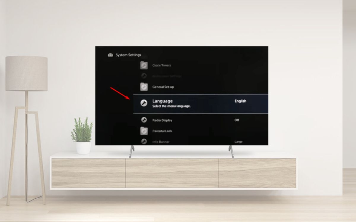 Cách cài đặt tiếng Việt cho tivi Sony (ảnh 3)