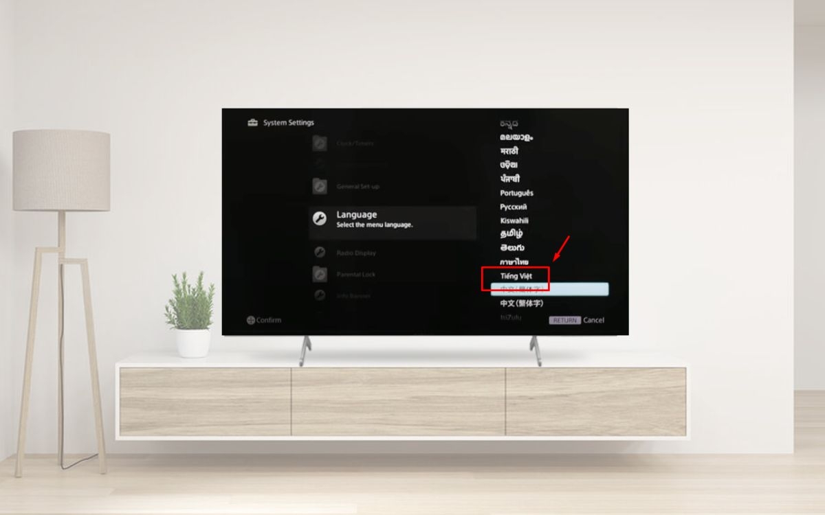 Cách cài đặt tiếng Việt cho tivi Sony (ảnh 4)