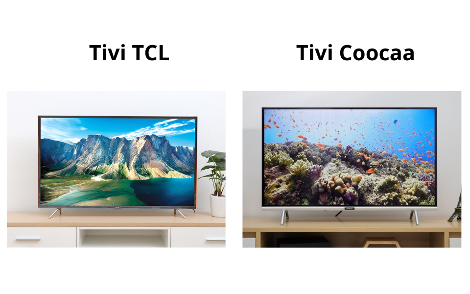 TCL và Coocaa đều thuộc sự sở hữu của các công ty Trung Quốc
