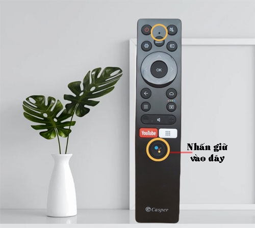 Lỗi tìm kiếm bằng giọng nói trên tivi Casper là lỗi gì? Tại sao tivi Casper không nhận giọng nói? 3