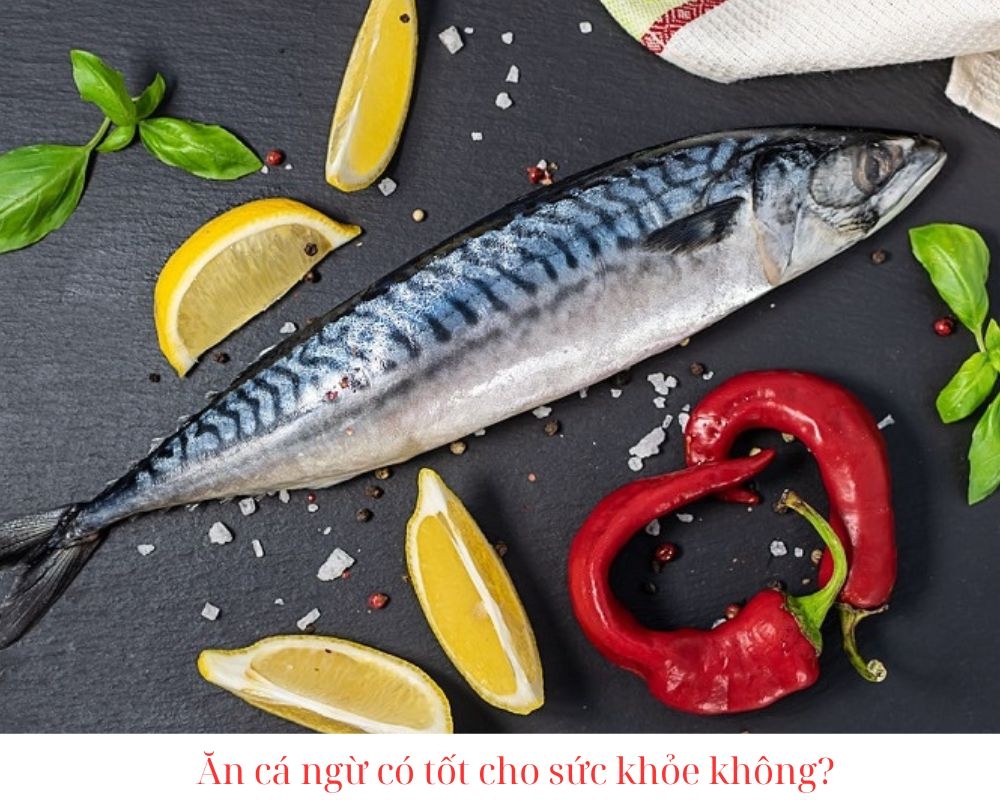 cá ngừ sốt cà chua 02