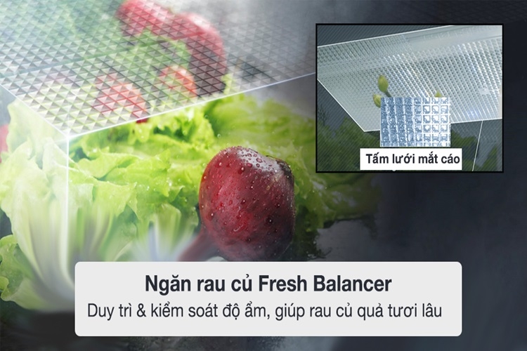 Công nghệ FRESHBalancer™ là gì? Gợi ý các dòng tủ lạnh có Công nghệ FRESHBalancer™ 1