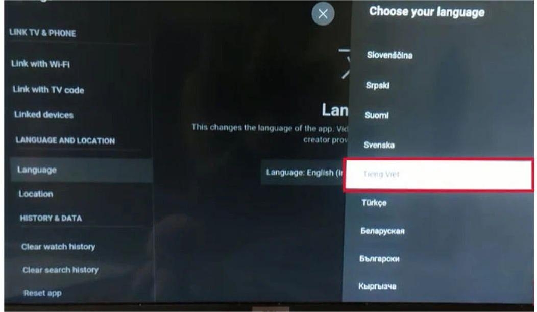 Cách cài đặt tiếng Việt cho tivi TCL (ảnh 7)