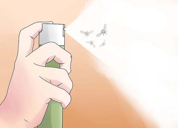 cách đuổi kiến cánh 5