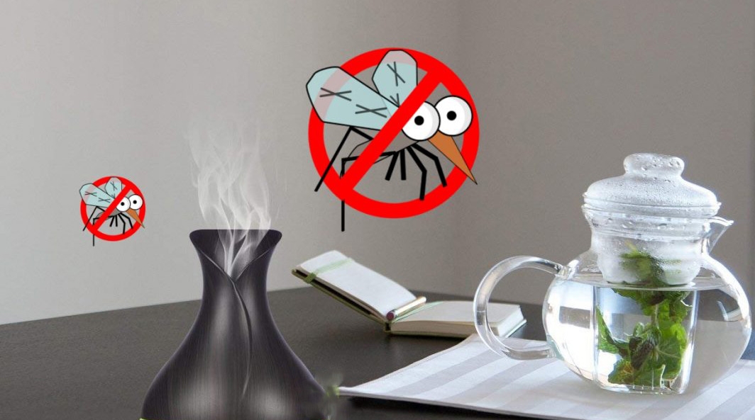 cách đuổi kiến cánh 6