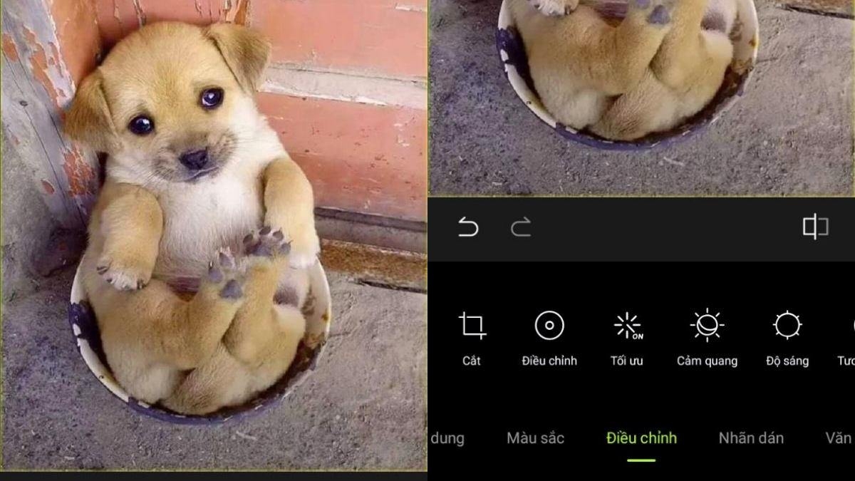 cách tải Xingtu Việt hóa - hình 2
