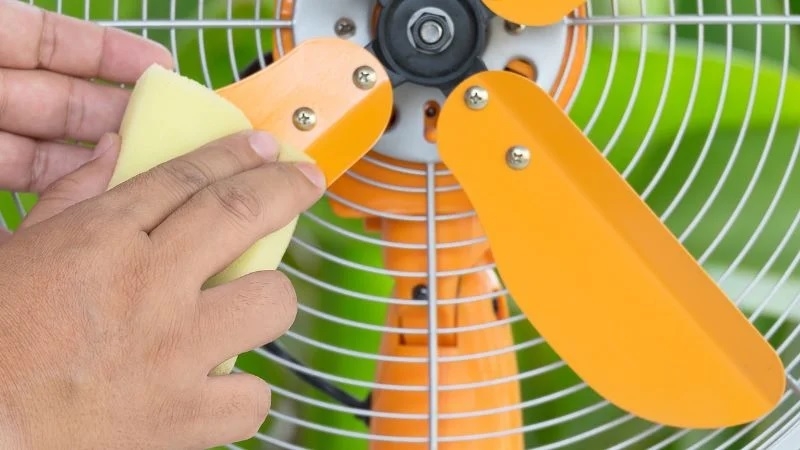 cách đuổi ruồi bằng dầu gió 1