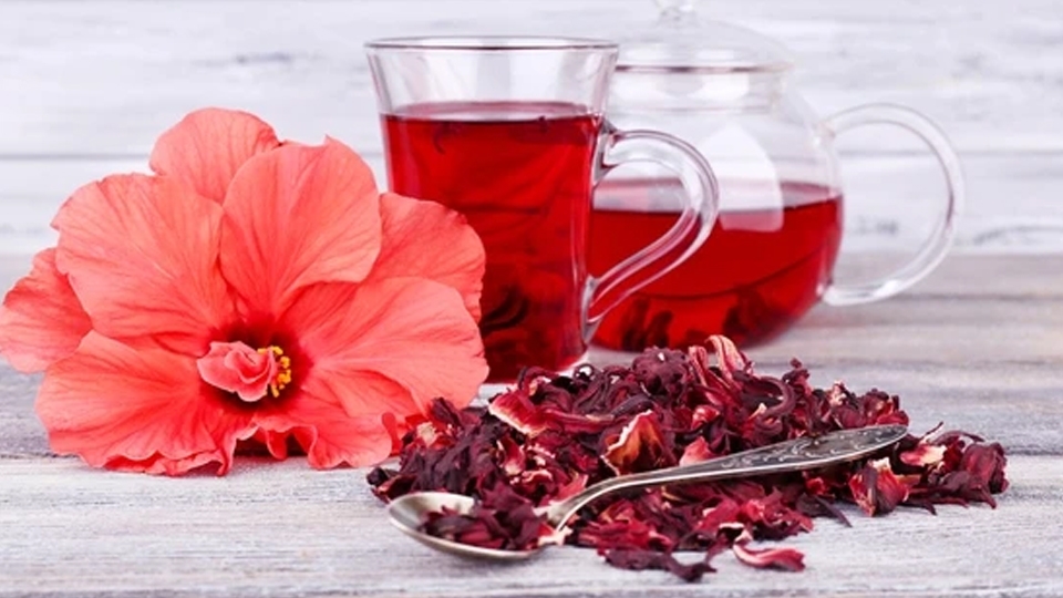 Lưu ý để sử dụng trà hoa dâm bụt tốt cho sức khỏe.