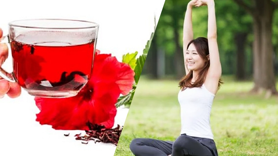 Trà hoa dâm bụt chứa đầy chất chống oxy hóa.