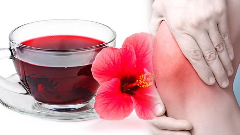 Trà hoa dâm bụt có tác dụng kháng viêm, tăng cường hệ miễn dịch.