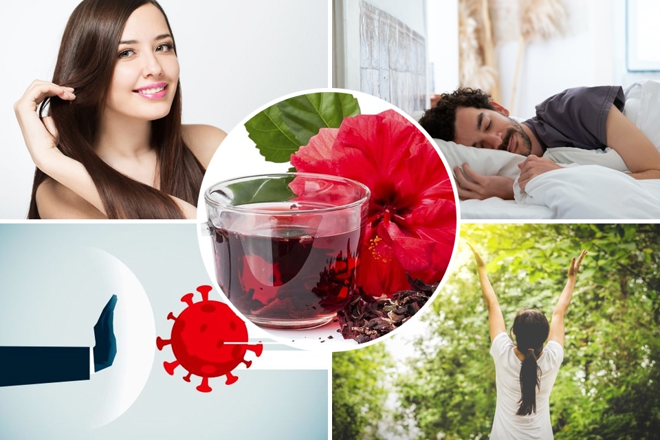 Trà hoa dâm bụt có nhiều lợi ích tốt cho sức khỏe.