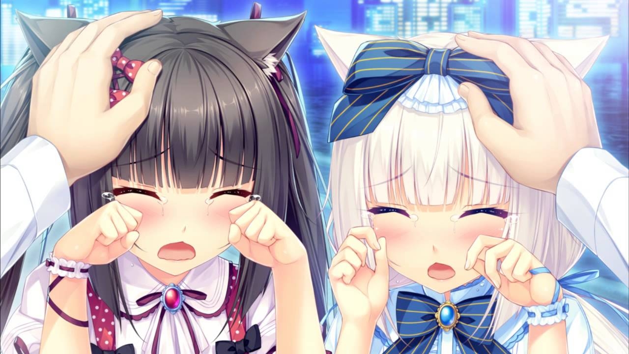 Nekopara 7