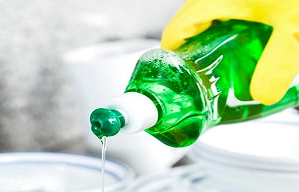 Đuổi chuột - Ảnh 04